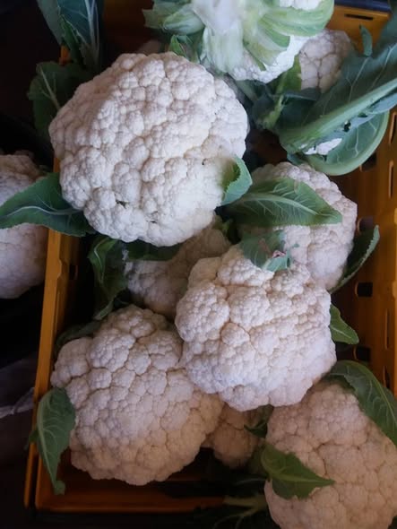 Fresh harvest from RCT Green Scheme