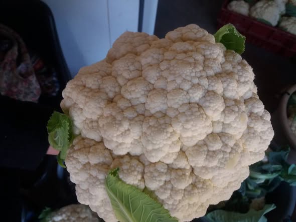 Green Scheme fresh vegetables